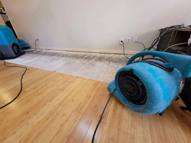 Professional Sewage Cleanup technician working in Bay City, TX